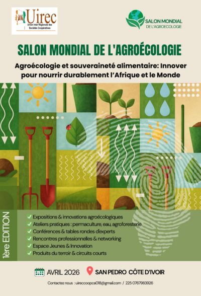 WhatsApp Image 2025-11-13 à 19.54.05_9d322885